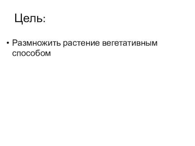 Цель: Размножить растение вегетативным способом