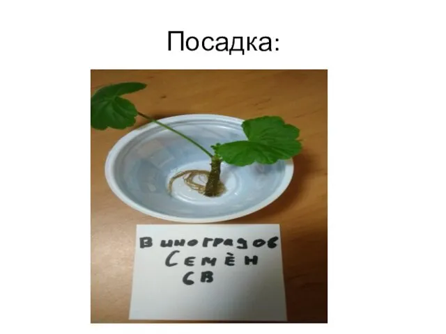 Посадка: