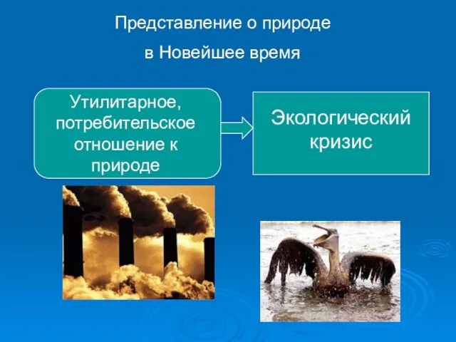 Представление о природе в Новейшее время Утилитарное, потребительское отношение к природе Экологический кризис