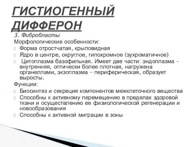 3. Фибробласты Морфологические особенности: Форма отростчатая, крыловидная Ядро в центре,