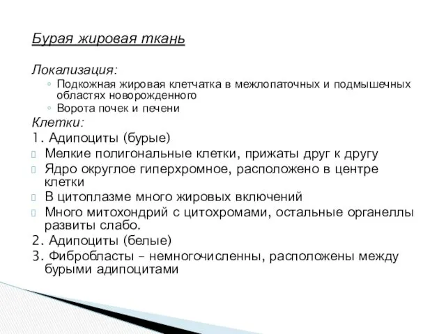 Бурая жировая ткань Локализация: Подкожная жировая клетчатка в межлопаточных и