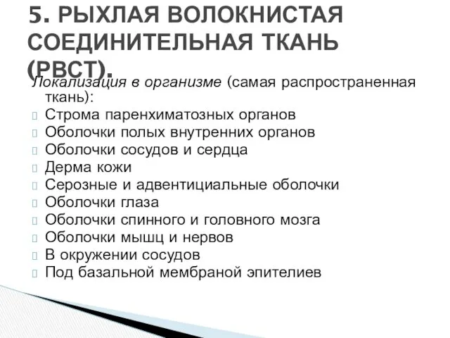 Локализация в организме (самая распространенная ткань): Строма паренхиматозных органов Оболочки