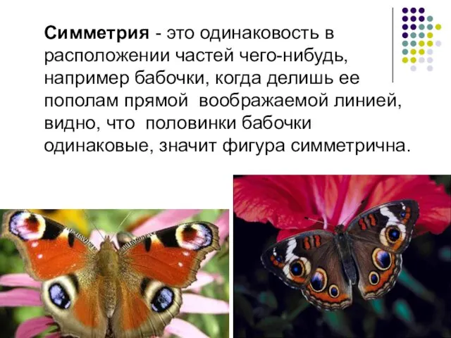 Симметрия - это одинаковость в расположении частей чего-нибудь, например бабочки,