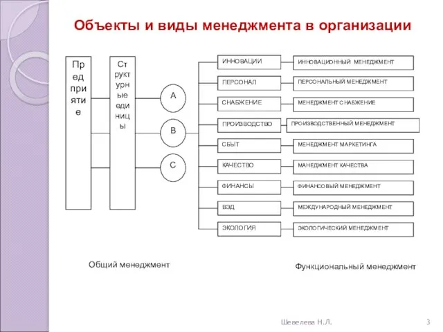 Объекты и виды менеджмента в организации Шевелева Н.Л.