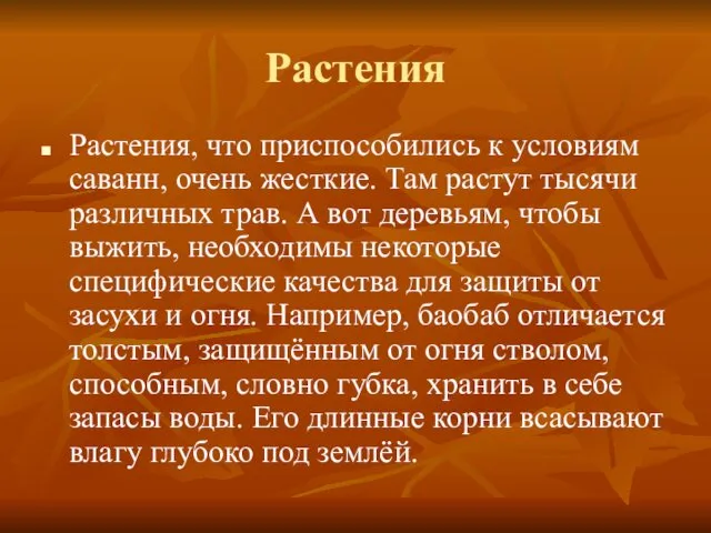 Растения Растения, что приспособились к условиям саванн, очень жесткие. Там