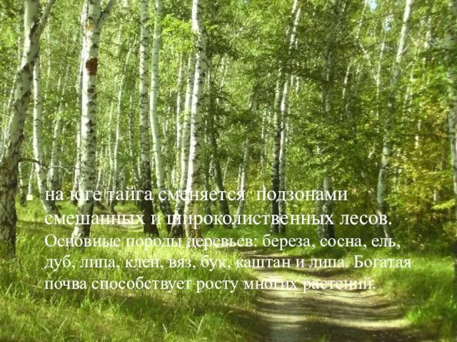 на юге тайга сменяется подзонами смешанных и широколиственных лесов. Основные