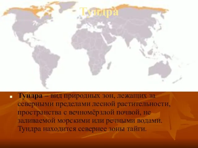 Тундра Тундра – вид природных зон, лежащих за северными пределами