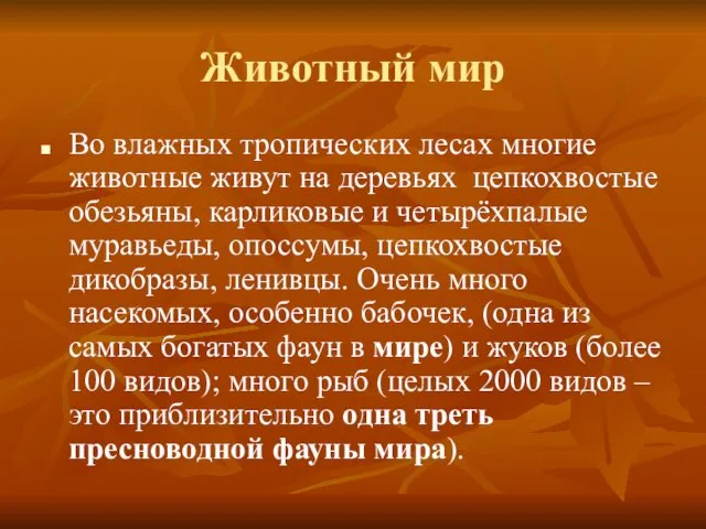 Животный мир Во влажных тропических лесах многие животные живут на