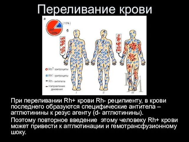 Переливание крови При переливании Rh+ крови Rh- реципиенту, в крови