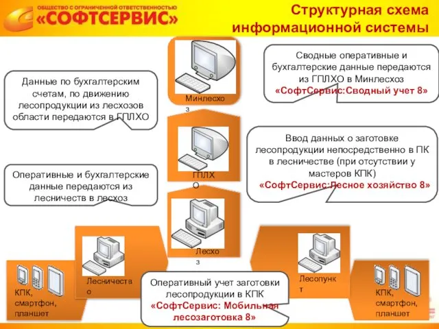 Структурная схема информационной системы Ежедневный учет заготовки лесопродукции в Минлесхоз