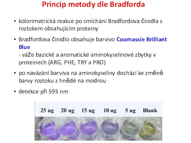 Princip metody dle Bradforda kolorimetrická reakce po smíchání Bradfordova činidla