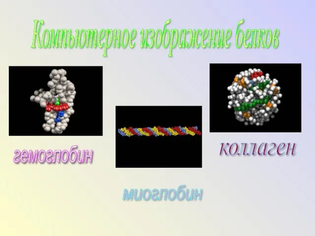 Компьютерное изображение белков гемоглобин миоглобин коллаген