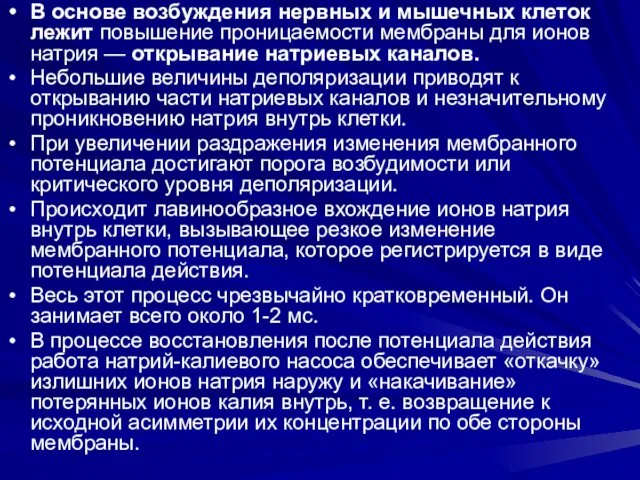 В основе возбуждения нервных и мышечных клеток лежит повышение проницаемости