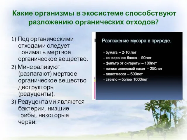 Какие организмы в экосистеме способствуют разложению органических отходов? 1) Под