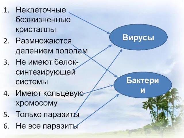 Неклеточные безжизненные кристаллы Размножаются делением пополам Не имеют белок-синтезирующей системы