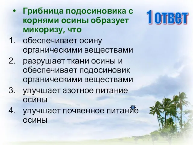 Грибница подосиновика с корнями осины образует микоризу, что обеспечивает осину