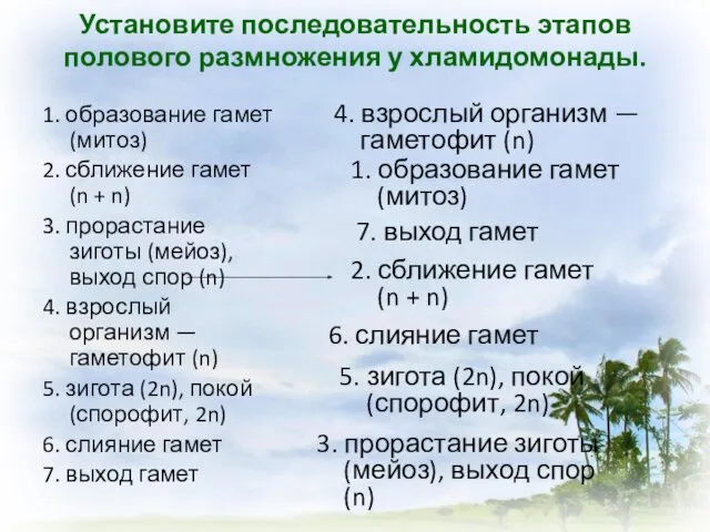 Установите последовательность этапов полового размножения у хламидомонады. 1. образование гамет