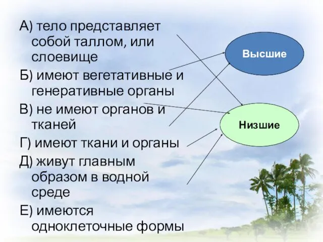 А) тело представляет собой таллом, или слоевище Б) имеют вегетативные