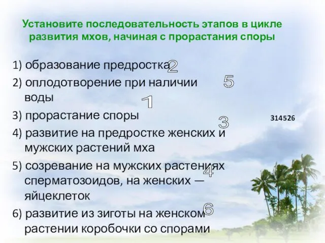 Установите последовательность этапов в цикле развития мхов, начиная с прорастания