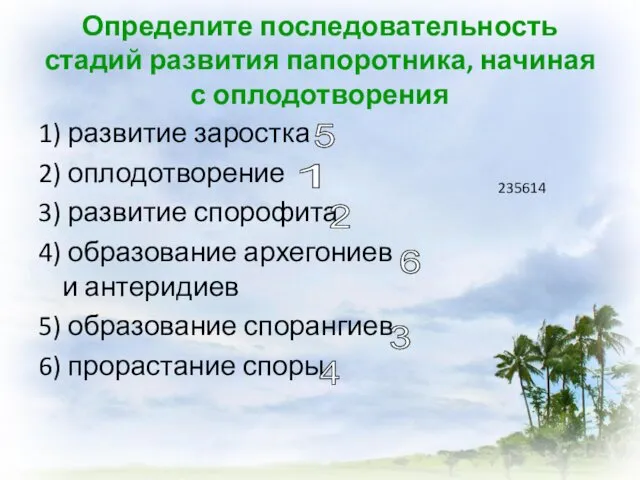 Определите последовательность стадий развития папоротника, начиная с оплодотворения 1) развитие