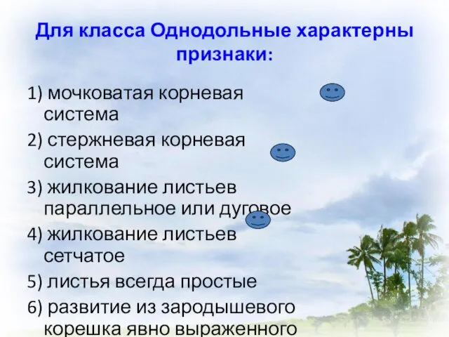 Для класса Однодольные характерны признаки: 1) мочковатая корневая система 2)