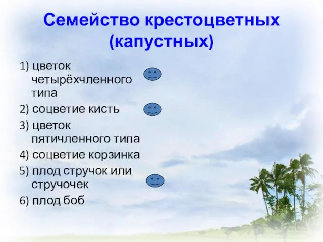 Семейство крестоцветных (капустных) 1) цветок четырёхчленного типа 2) соцветие кисть