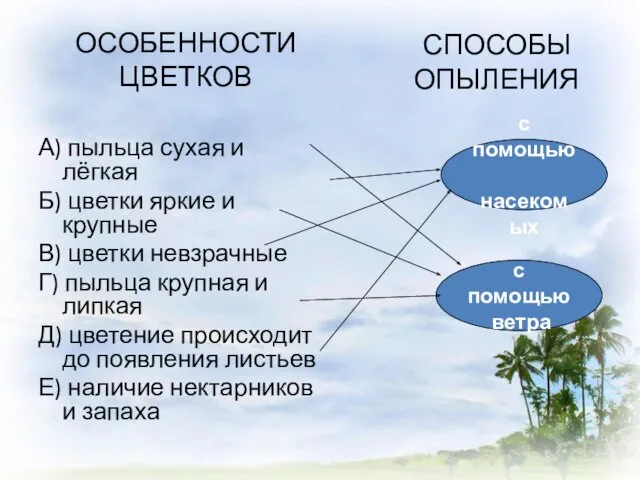 ОСОБЕННОСТИ ЦВЕТКОВ А) пыльца сухая и лёгкая Б) цветки яркие