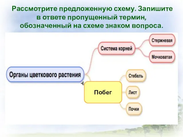 Рассмотрите предложенную схему. Запишите в ответе пропущенный термин, обозначенный на схеме знаком вопроса. Побег