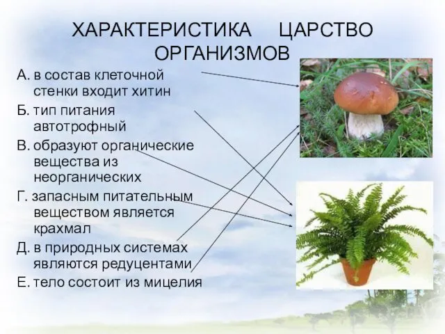 ХАРАКТЕРИСТИКА ЦАРСТВО ОРГАНИЗМОВ А. в состав клеточной стенки входит хитин