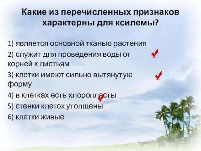 Какие из перечисленных признаков характерны для ксилемы? 1) является основной