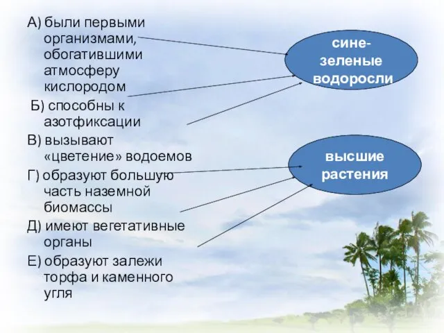 А) были первыми организмами, обогатившими атмосферу кислородом Б) способны к