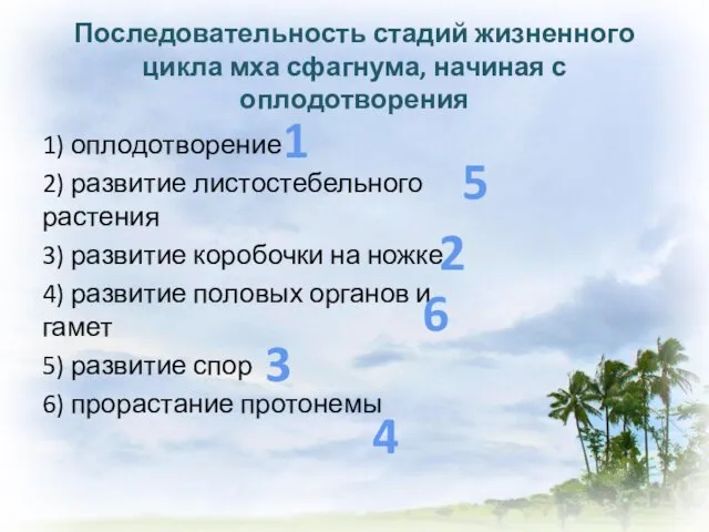 Последовательность стадий жизненного цикла мха сфагнума, начиная с оплодотворения 1)