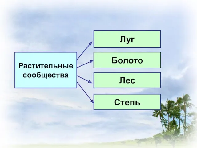 Растительные сообщества Луг ? Лес Степь Болото