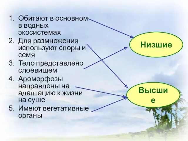 Обитают в основном в водных экосистемах Для размножения используют споры