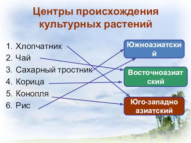 Центры происхождения культурных растений Хлопчатник Чай Сахарный тростник Корица Конопля Рис Южноазиатский Восточноазиатский Юго-западно азиатский