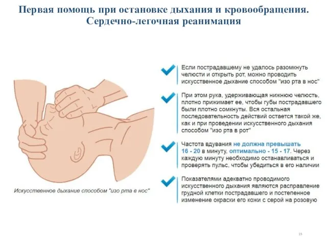 Первая помощь при остановке дыхания и кровообращения. Сердечно-легочная реанимация