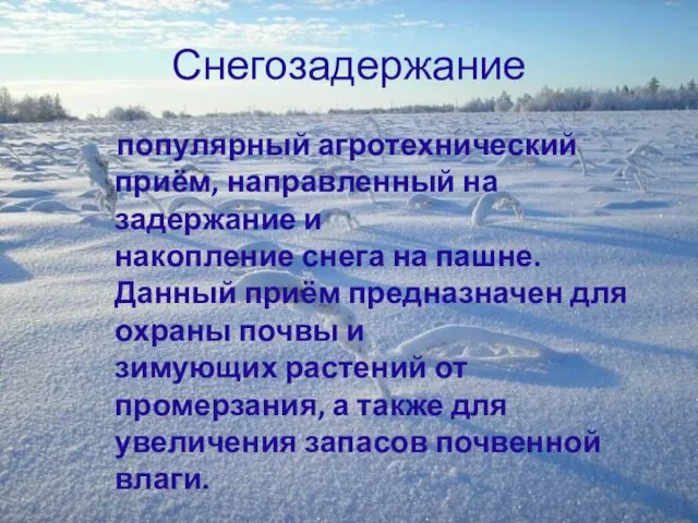 Снегозадержание популярный агротехнический приём, направленный на задержание и накопление снега