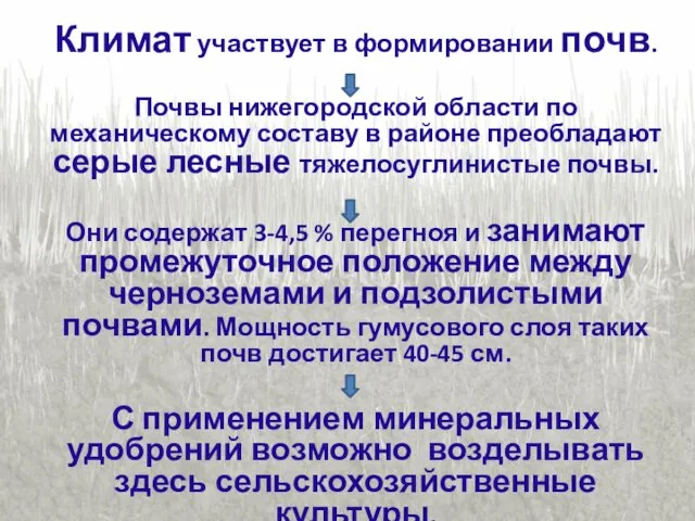 Климат участвует в формировании почв. Почвы нижегородской области по механическому