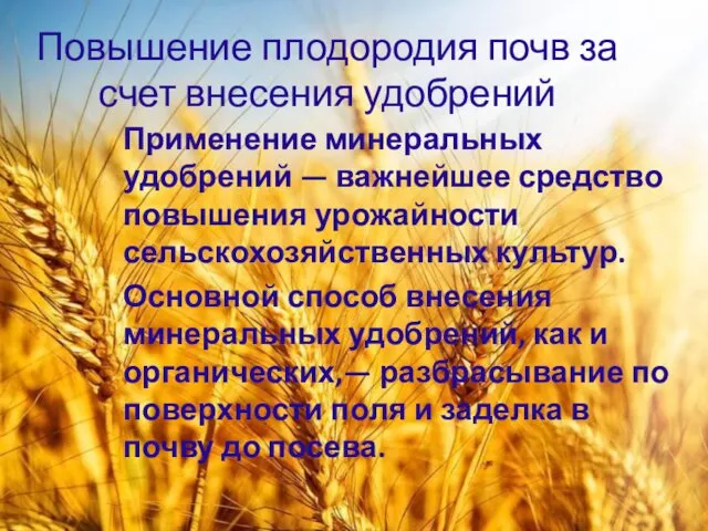 Повышение плодородия почв за счет внесения удобрений Применение минеральных удобрений