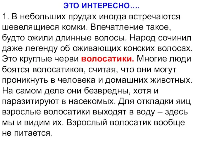 1. В небольших прудах иногда встречаются шевелящиеся комки. Впечатление такое,