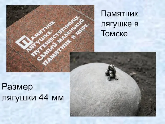 Памятник лягушке в Томске Размер лягушки 44 мм