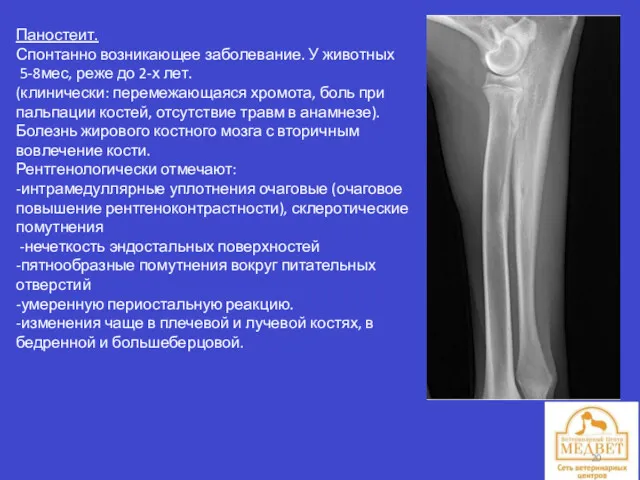 Паностеит. Спонтанно возникающее заболевание. У животных 5-8мес, реже до 2-х