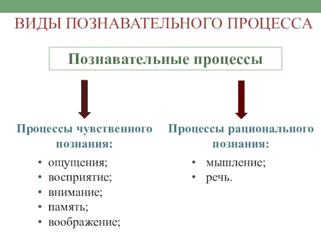 Познавательные процессы Процессы чувственного познания: ощущения; восприятие; внимание; память; воображение;