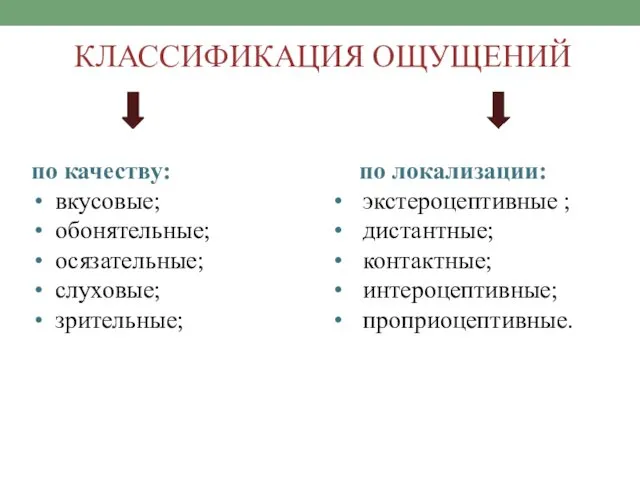 КЛАССИФИКАЦИЯ ОЩУЩЕНИЙ по качеству: вкусовые; обонятельные; осязательные; слуховые; зрительные; по