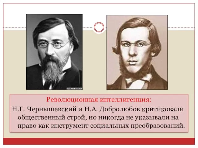 Революционная интеллигенция: Н.Г. Чернышевский и Н.А. Добролюбов критиковали общественный строй,