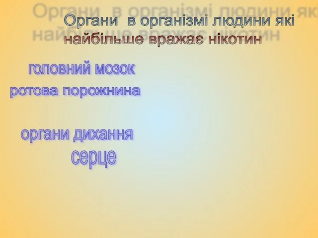 головний мозок ротова порожнина органи дихання серце Органи в організмі людини які найбільше вражає нікотин