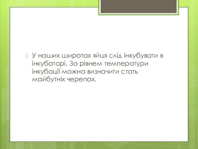 У наших широтах яйця слід інкубувати в інкубаторі. За рівнем