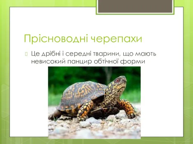 Прісноводні черепахи Це дрібні і середні тварини, що мають невисокий панцир обтічної форми