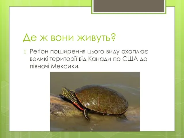 Де ж вони живуть? Регіон поширення цього виду охоплює великі