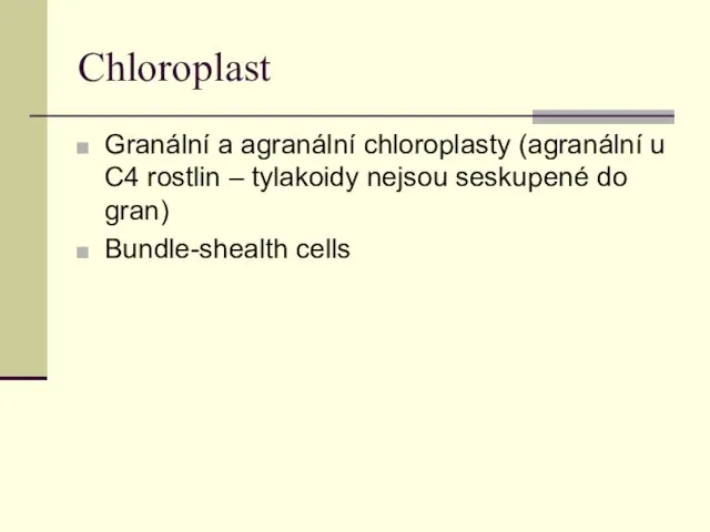 Chloroplast Granální a agranální chloroplasty (agranální u C4 rostlin –